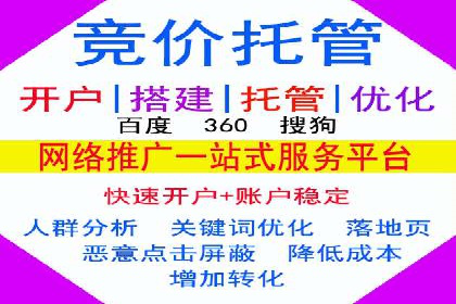 SEM托管代运营案例解析：ROI大幅提升的秘诀